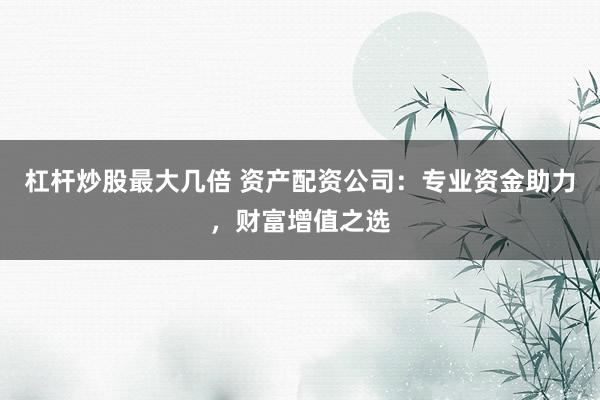杠杆炒股最大几倍 资产配资公司：专业资金助力，财富增值之选