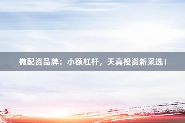 微配资品牌：小额杠杆，天真投资新采选！