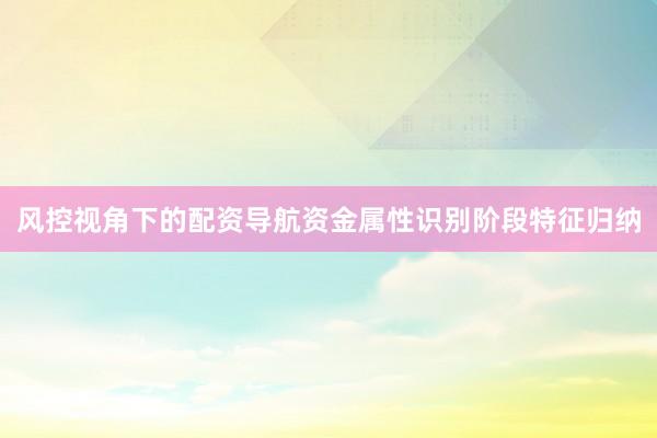 风控视角下的配资导航资金属性识别阶段特征归纳