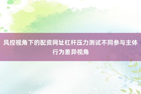 风控视角下的配资网址杠杆压力测试不同参与主体行为差异视角