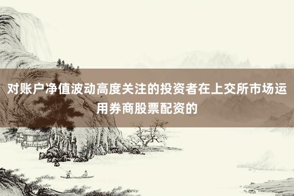 对账户净值波动高度关注的投资者在上交所市场运用券商股票配资的