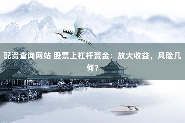 配资查询网站 股票上杠杆资金：放大收益，风险几何？