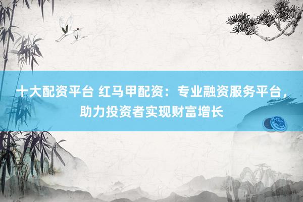 十大配资平台 红马甲配资：专业融资服务平台，助力投资者实现财富增长