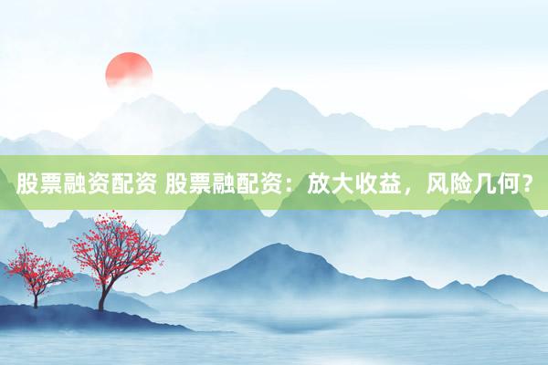 股票融资配资 股票融配资：放大收益，风险几何？